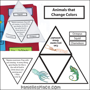 Animals that Change Color Triangle