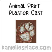 Animal Tracks plaster cast