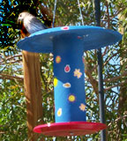 earth day recycled bird feeder craft