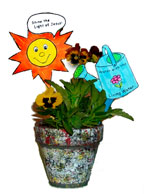 Plant stakes