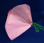 tissue flower 2