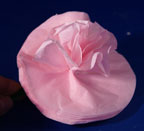 Tissue Flower 3