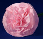 tissue flower 4