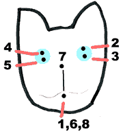 Sock Cat diagram 2