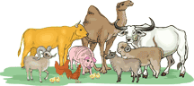Sunday School Abram's and Lot's animals Bible Puppets from www.daniellesplace.com