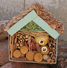 Bug House Craft for kids