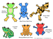 Frog Activity Sheet - Types of Frogs