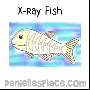 x ray fish