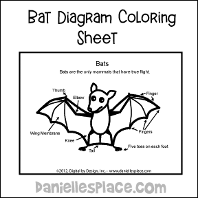 Bat activity sheet craft for kids www.daniellesplace.com