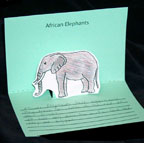 standout elephant display