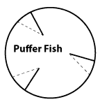 puffer fish diagram