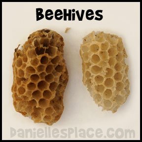 Beehives  from www.daniellesplace.com