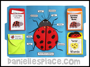 Ladybug Lap Book Lesson from Bug Buddy Studies from www.daniellesplace.com