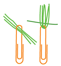 paper clip diagram www.daniellesplace.com