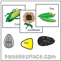 Seed and Fruit Identification Game from www.daniellesplace.com