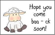 Sheep Postcard