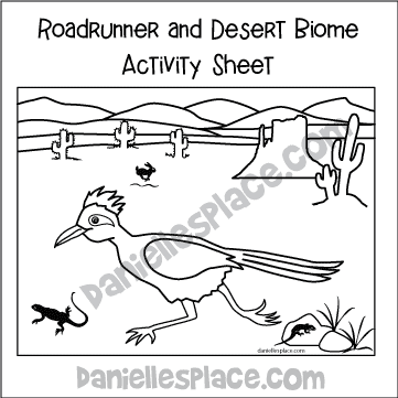 Roadrunner and Desert Biome Activity Sheet