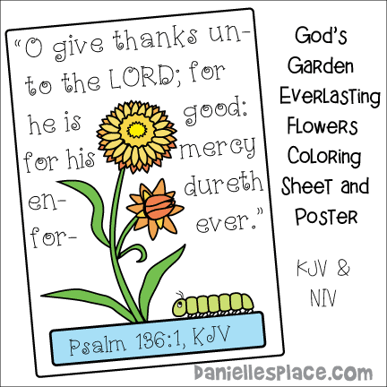 God's Garden Everlasting Flower Coloring Sheet and Poster