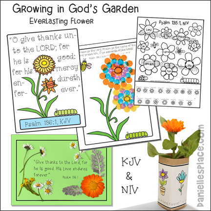 Growing in God's Garden, Everlasting Flower Bible Lesson for Children