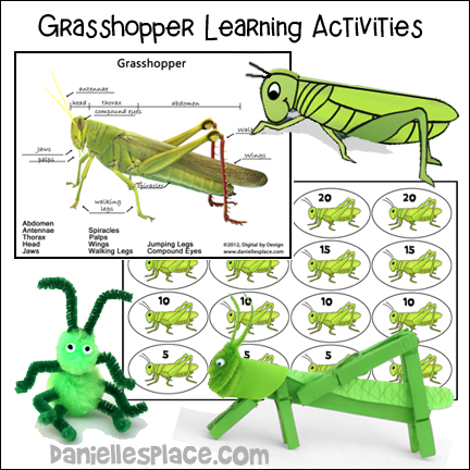 Grasshopper Crafts and Learning Activities for Children