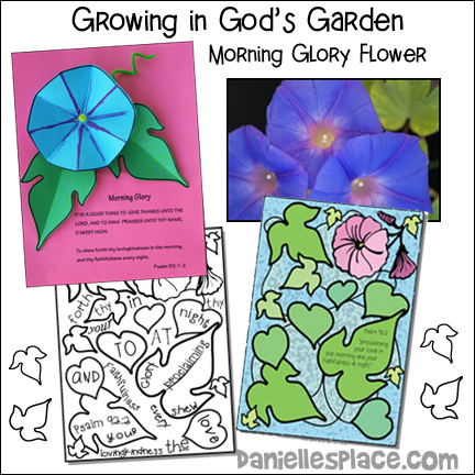 Growing in God's Garden - Morning Glory Flower - Growing in Joy