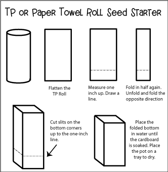 TP flower Pots Diagram