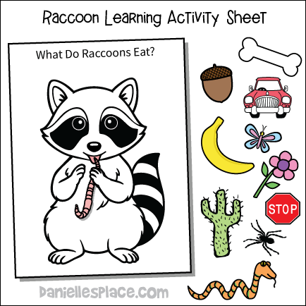 What Do Raccoons Eat? Learning Activity