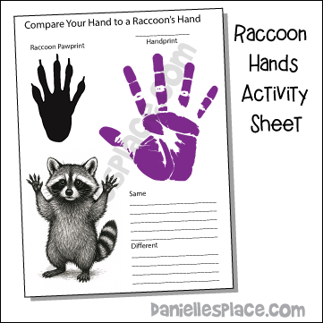 Raccoon Hand Comparison Activity Sheet