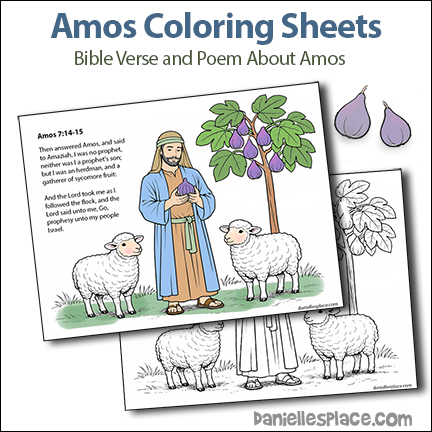 Amos Bible Verse or Poem Coloring Sheet for Sunday School