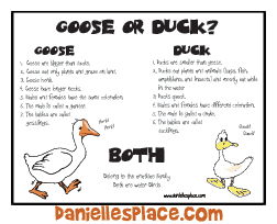 Duck or Goose Activity Sheet www.daniellesplace.com
