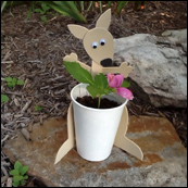 Kangaroo Craft