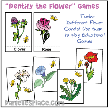 "Identify the Flower" Printable Cards - Use these cards to play memory games, educational games, and as collectable cards. From www.daniellesplace.com