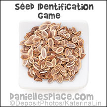 Seed Identification Game from www.daniellesplace.com