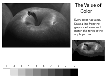 Match Values in an image