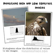 Identify low and high contrast images