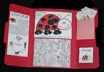 Ladybug Lapbook