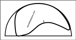 crab claw diagram