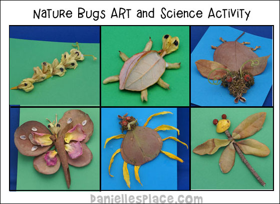 Nature Bugs - Collect dired leaves, twigs and other things from nature to make these creative bugs.
