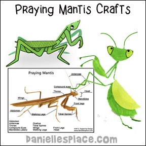 Praying Mantis Crafts
