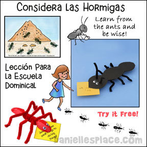 Considera Las Hormigas