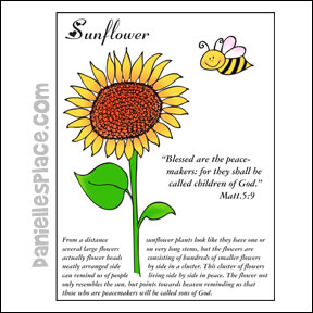 Beatitudes Sunflwer Bible Verse Coloring Sheet
