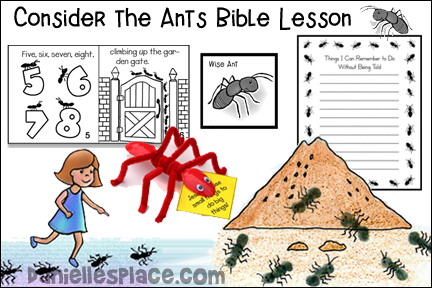 Consider the Ants Bible Lesson