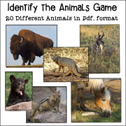 Identify the Animals Pictures for Noah's Ark Games
