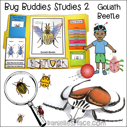 Bug Buddies Study Lesson 2 - Goliath Beetle