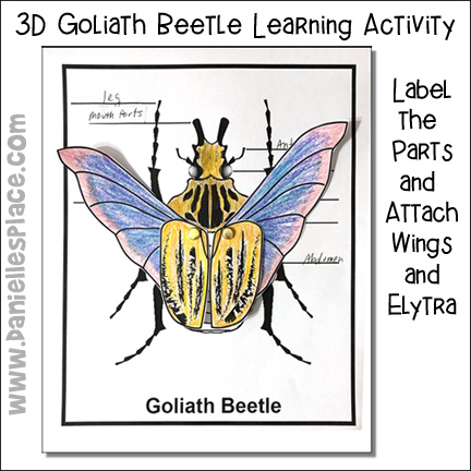 3D Label the  Goliath Beetle Learning Activity