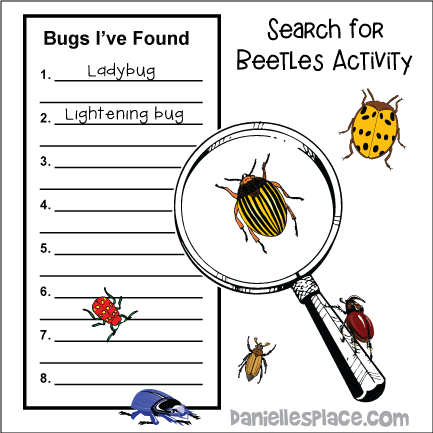Search For Beetles Activity