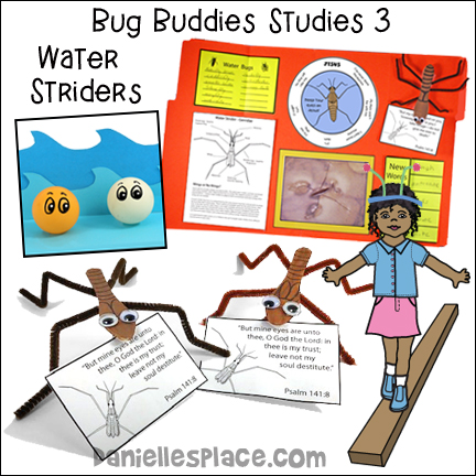 Bug Buddies Study - Water Strider - Keep Your Eyes on Jesus