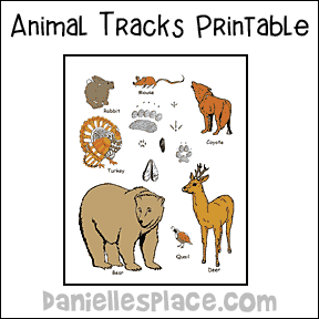 animal track match up color sheet