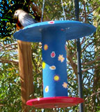 Bird Feeder Paper Plate Craft