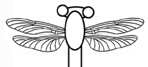 dragonfly craft diagram 